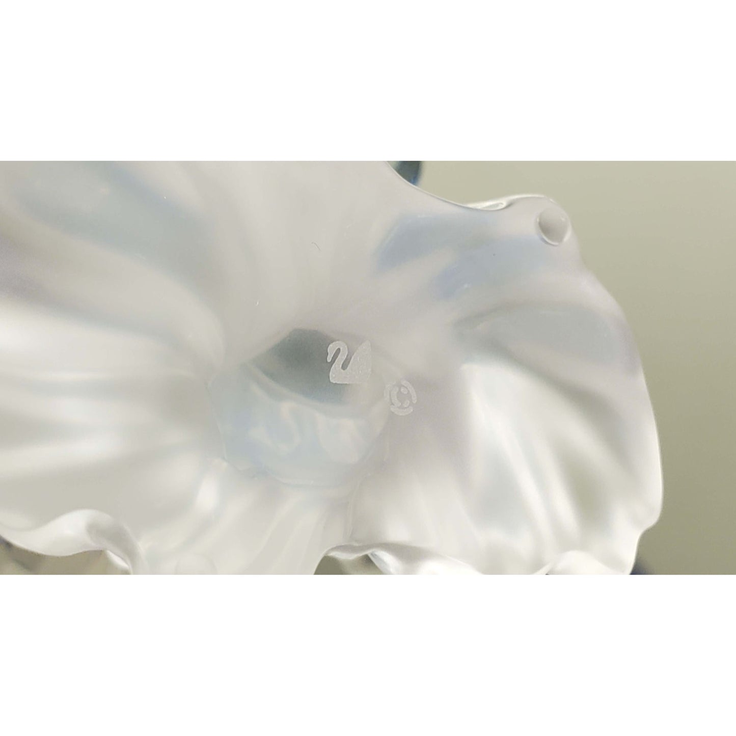 Swarovski Crystal #0680627 "Budgies" Parakeet Parrot Bird w/Original Box & COA