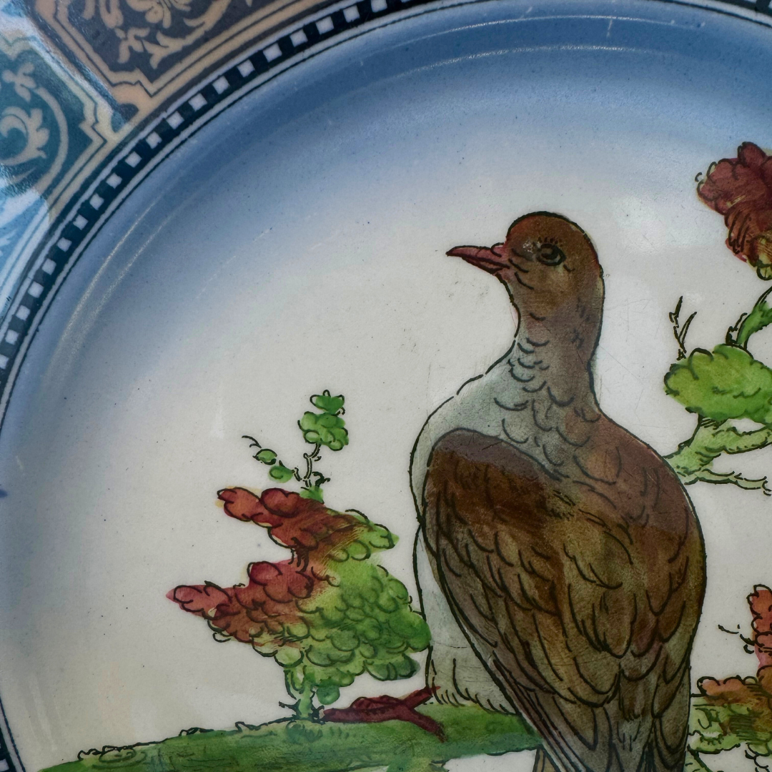 RARE Royal Doulton Game Bird Series Rock Dove Dinner Plate  and Stand 10.5"