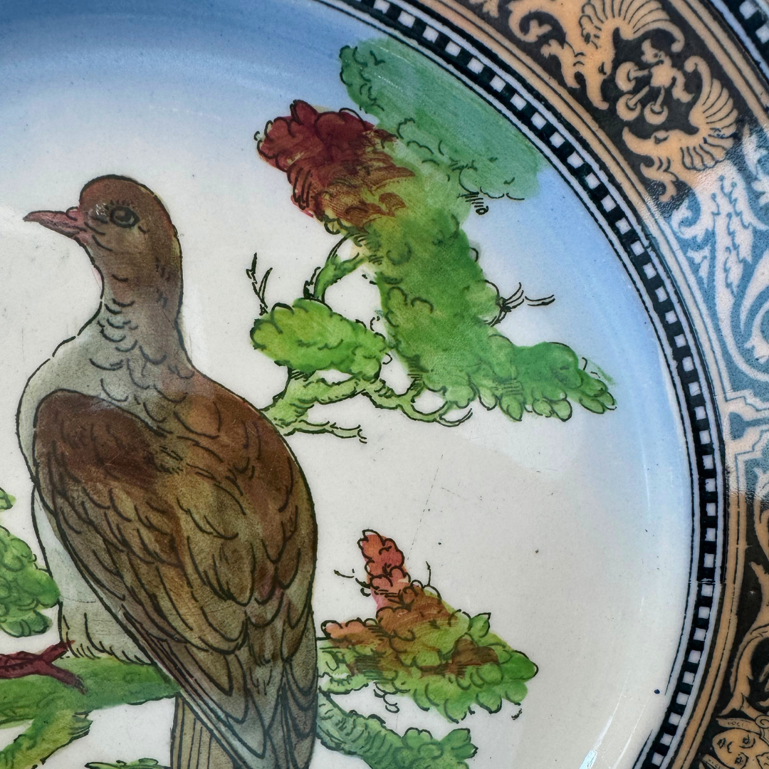 RARE Royal Doulton Game Bird Series Rock Dove Dinner Plate  and Stand 10.5"