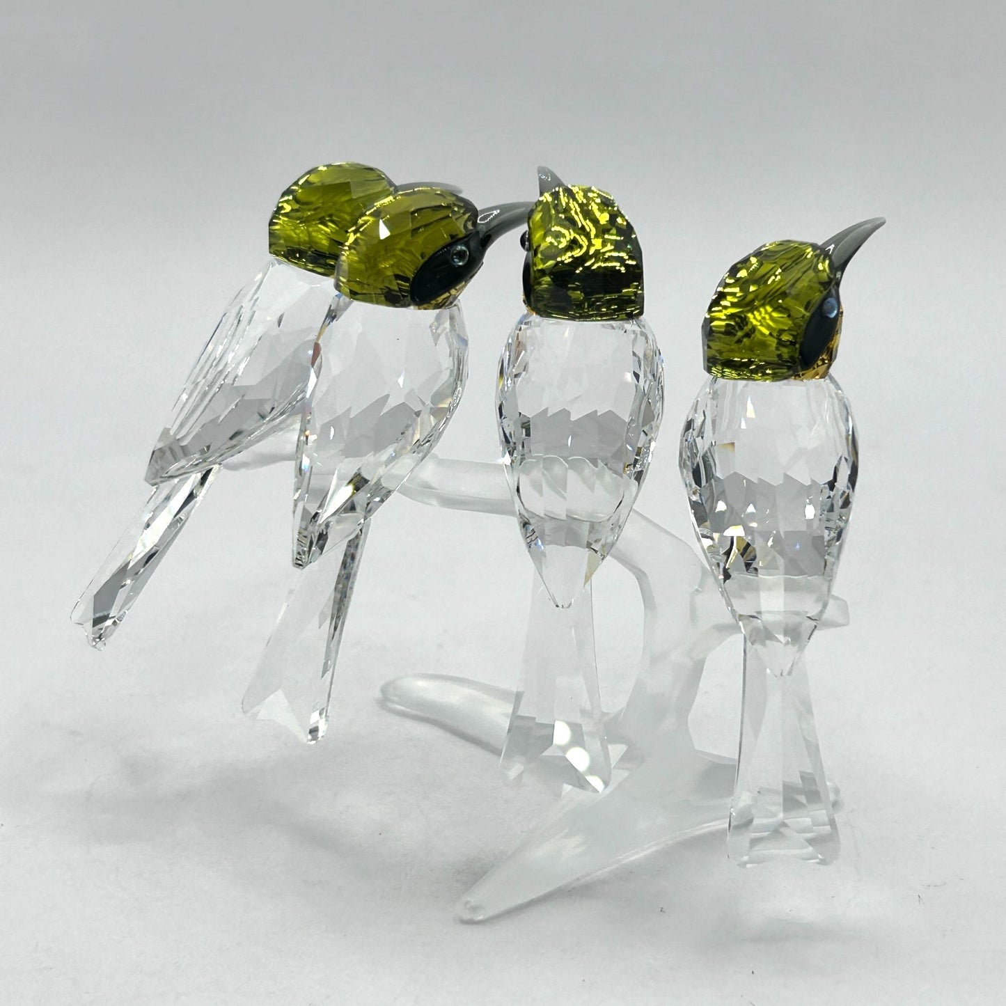 Swarovski Crystal 1048013 Bee Eaters In Box With Certificate