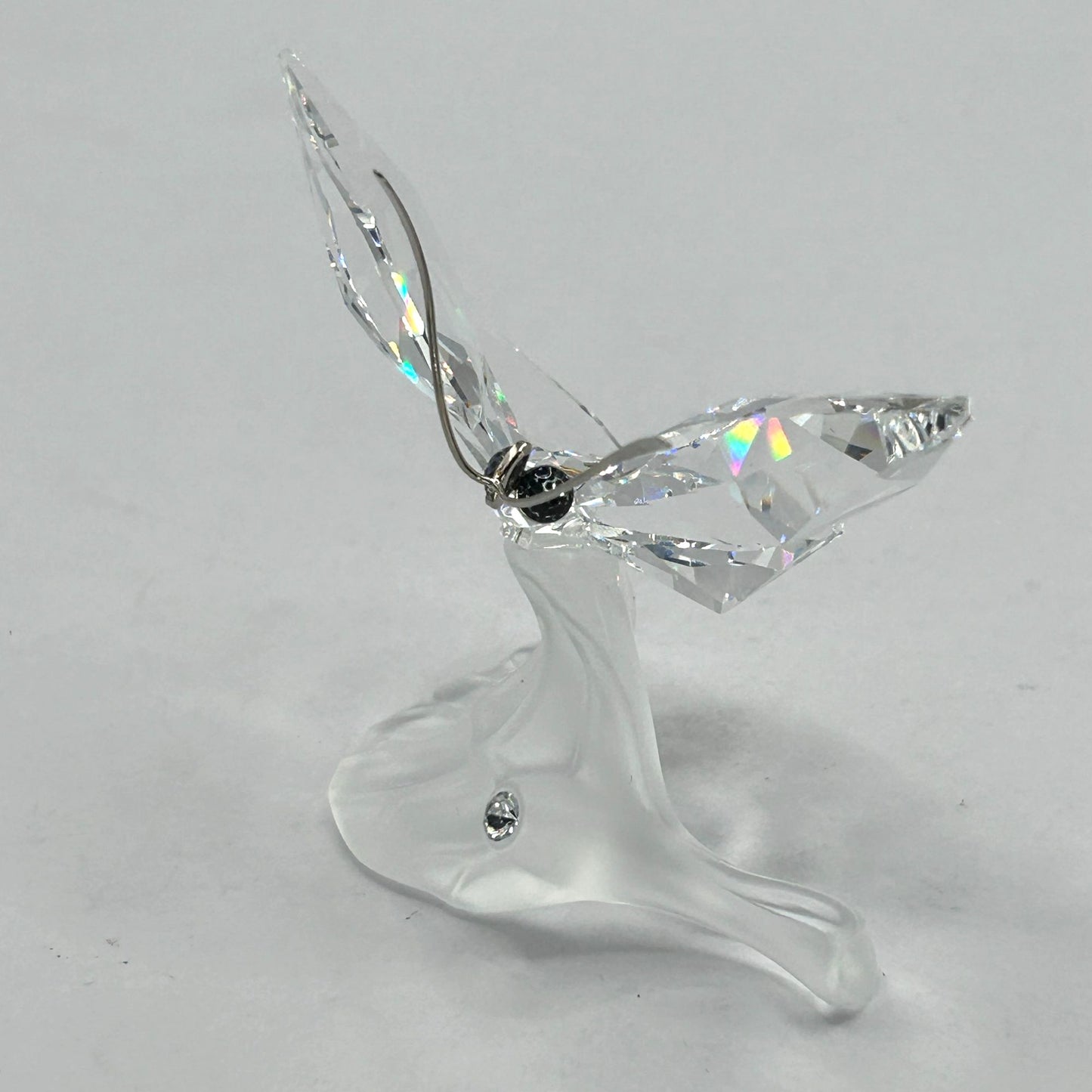 Swarovski Crystal 182920 Butterfly On Leaf In Box With Certificate