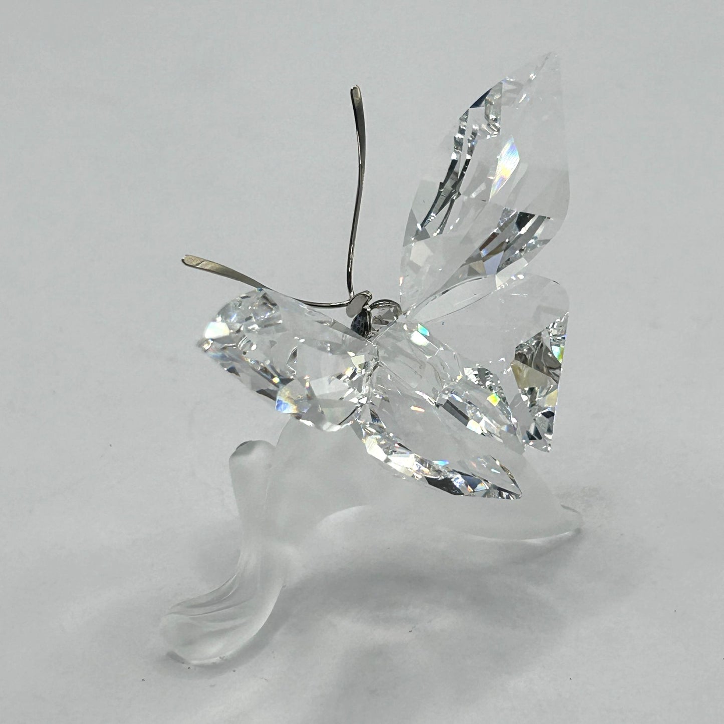 Swarovski Crystal 182920 Butterfly On Leaf In Box With Certificate