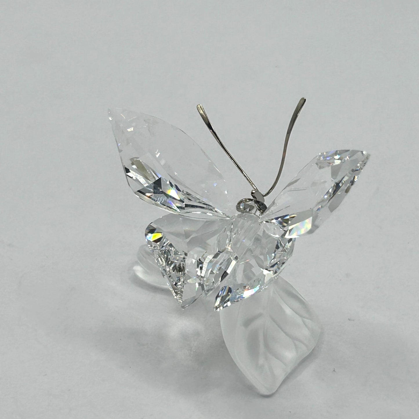 Swarovski Crystal 182920 Butterfly On Leaf In Box With Certificate