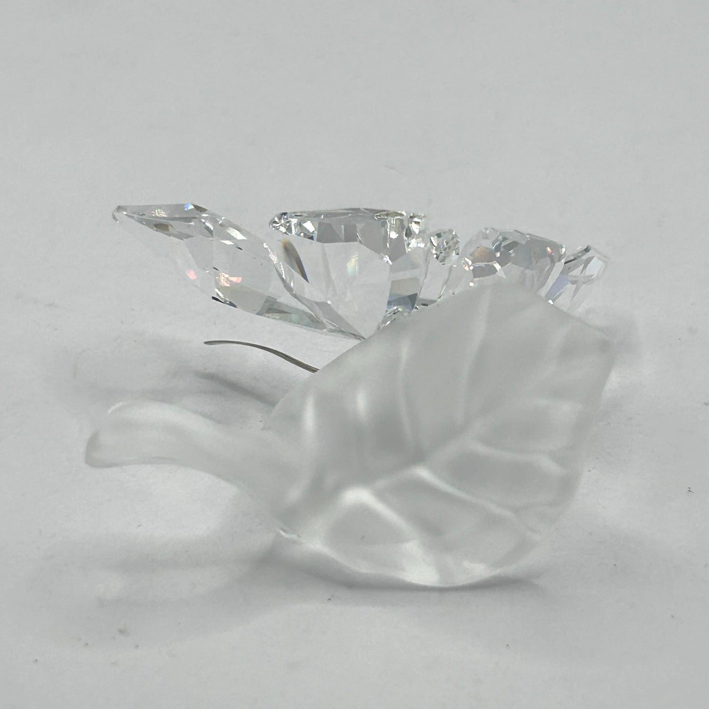 Swarovski Crystal 182920 Butterfly On Leaf In Box With Certificate