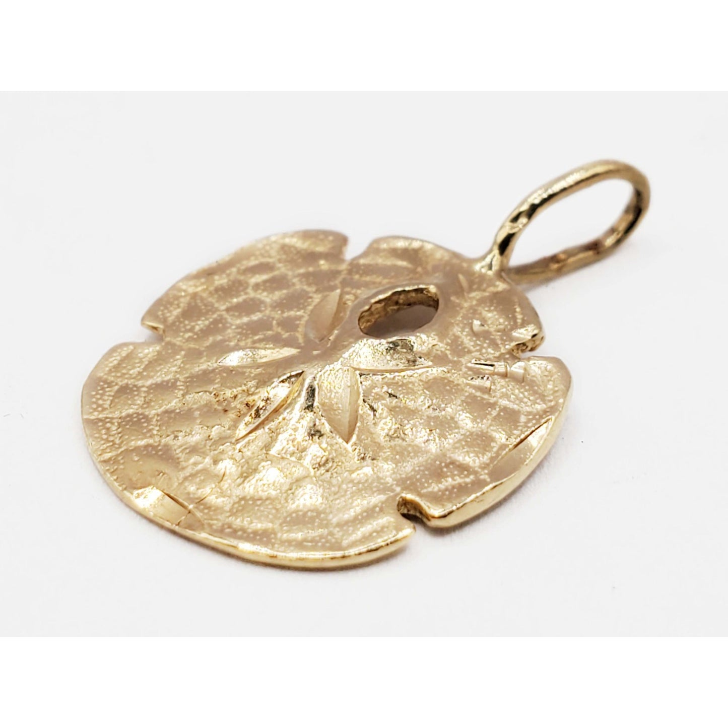 Sand Dollar Sea Biscuit Pendant 14k Gold