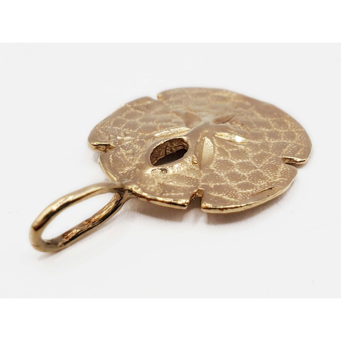 Sand Dollar Sea Biscuit Pendant 14k Gold