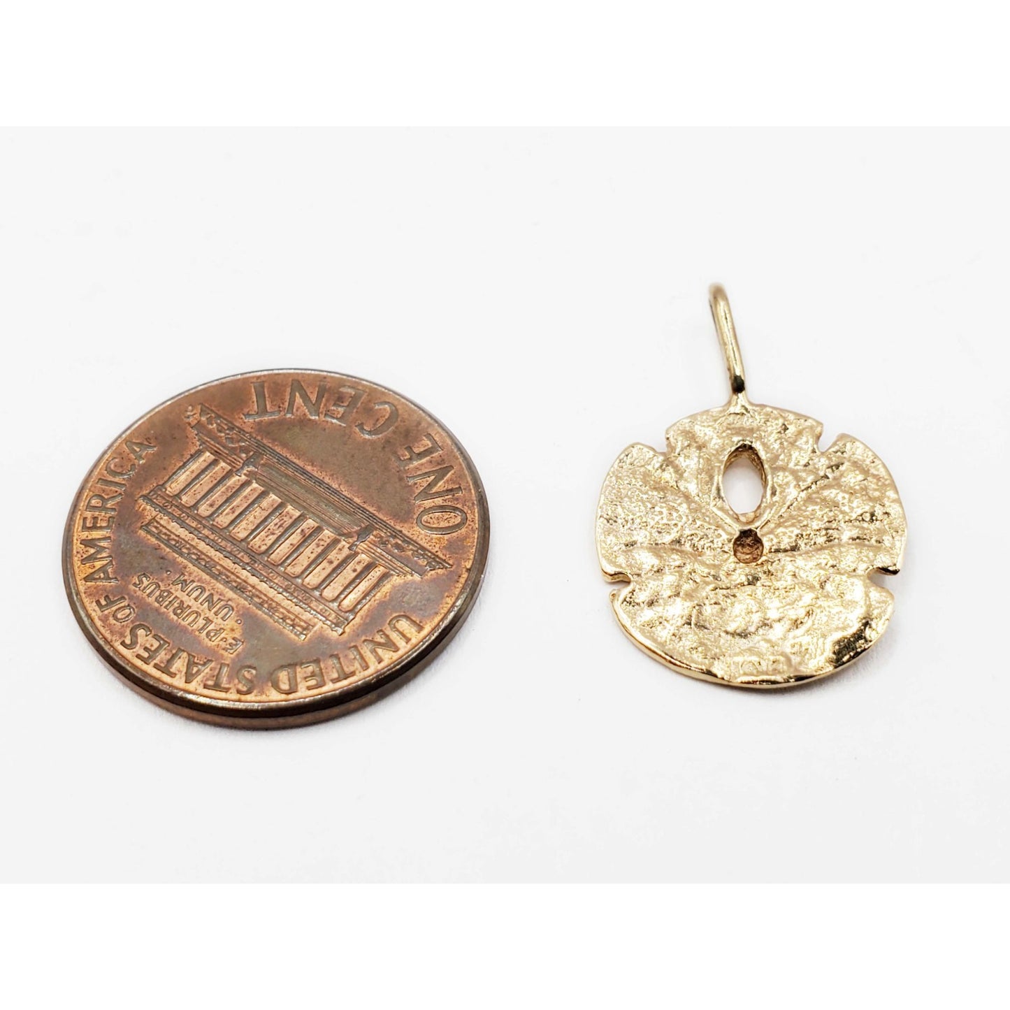 Sand Dollar Sea Biscuit Pendant 14k Gold