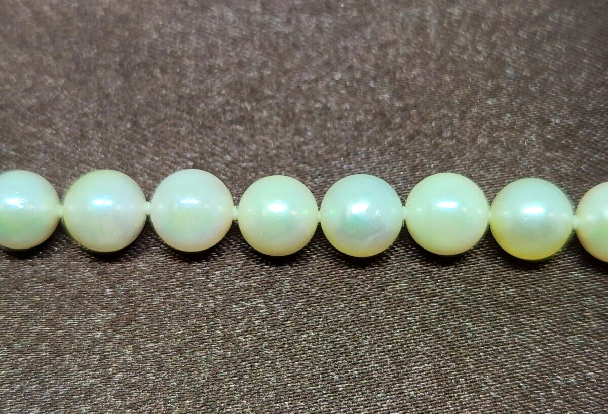 14k Yellow Gold Akoya Pearl Bracelet 6.5-7mm, 6.75'', 23 pearls